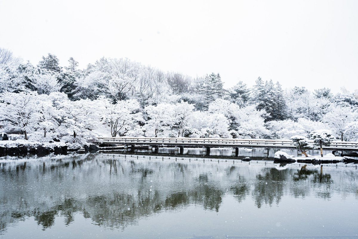一晩で一面が真っ白に染まり、今朝は園内各所で雪景色を楽しむことができました♪
公園は開園しておりますが、サイクリングコースや遊具など、一部利用を休止している施設もございます。HPにて情報を更新しておりますので、公園に来られる際は事前にご確認ください。