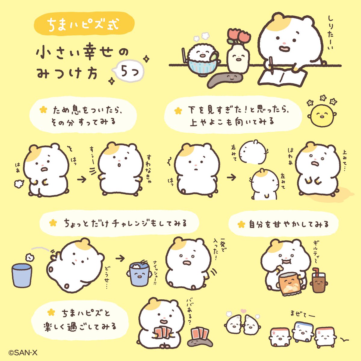 🍚ちまハピズ式💐
小さい幸せのみつけ方✨

はむちまと一緒にやってみよう♪🐹