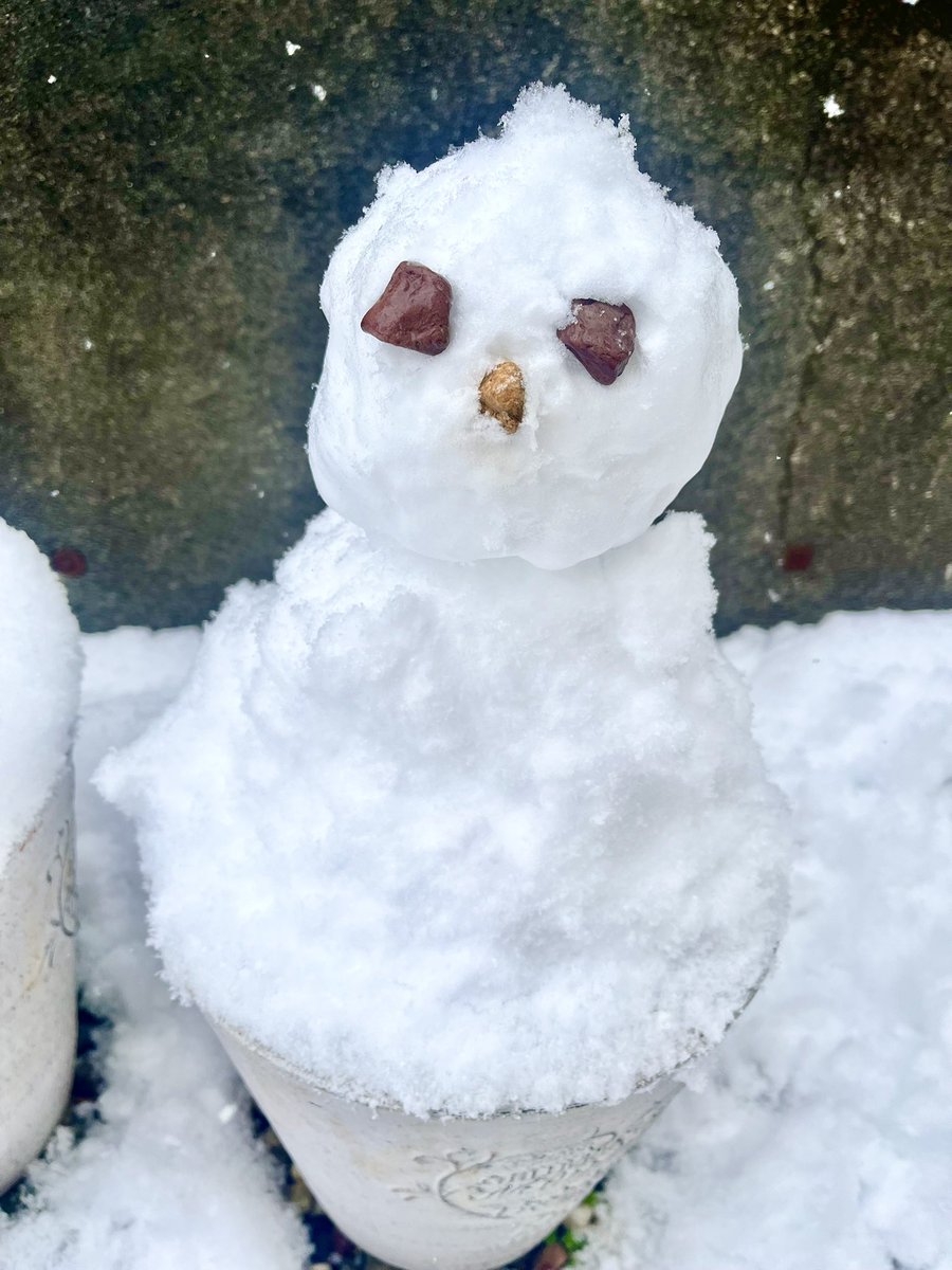 別に、テンション上がってなんかいねーし！