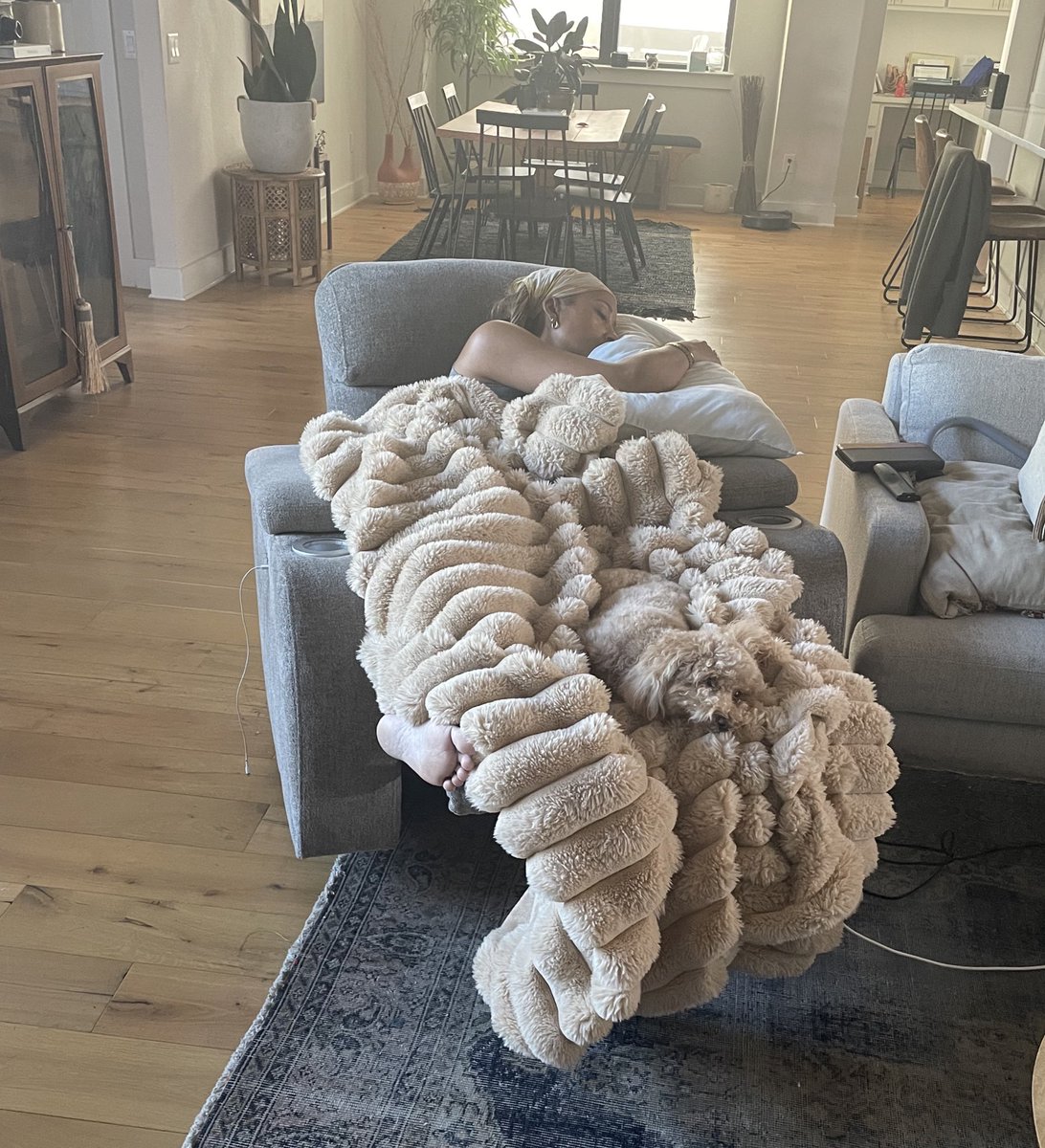 SheaSerrano's tweet image. larami bought a heated blanket that’s the same color and texture of her dog

(there’s a dog in this picture lol)