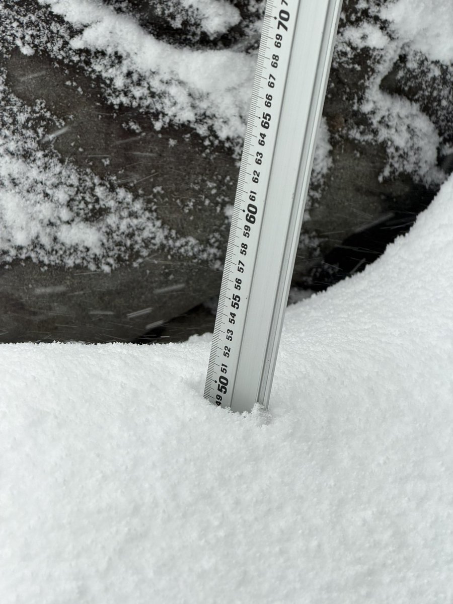 これは…大雪ですわ。

朝は積雪50cmだったのに、
雪かきしてたら60cmになってる……☃️