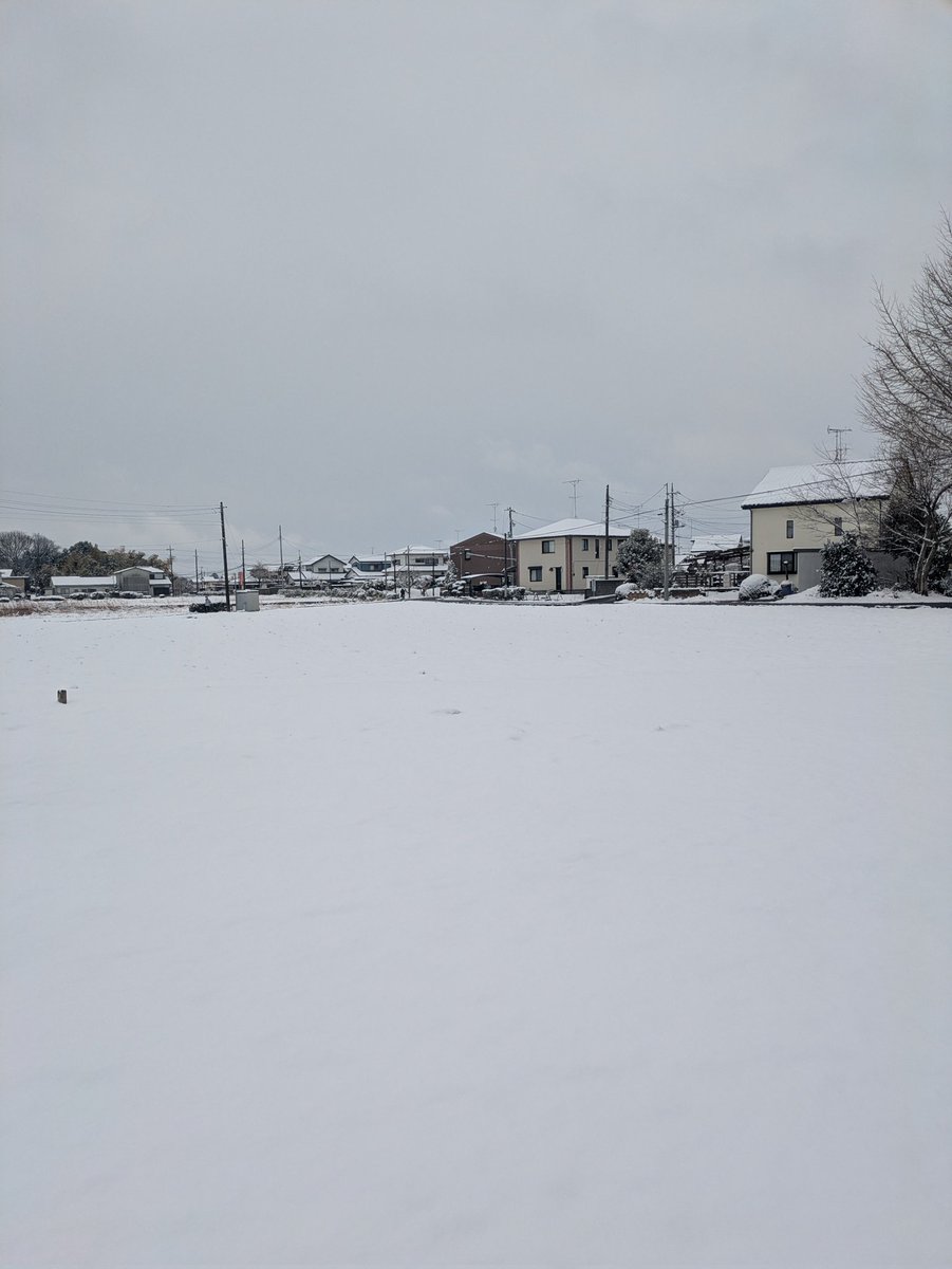 ApexKiri55's tweet photo. 雪が積もった😳雪景色っていいよね😌 https://t.co/RuIgNJzq8F