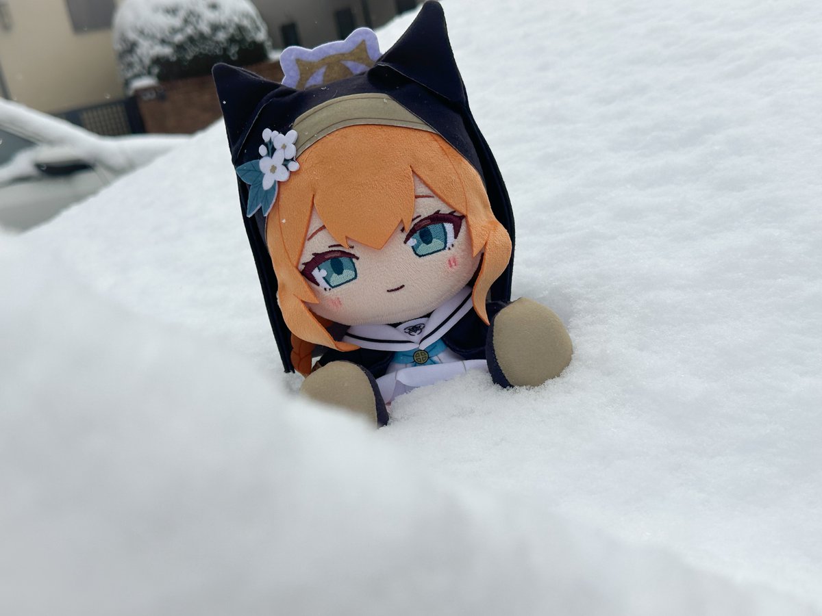 Zに雪たくさん積もってたから遊んできた😁😁
