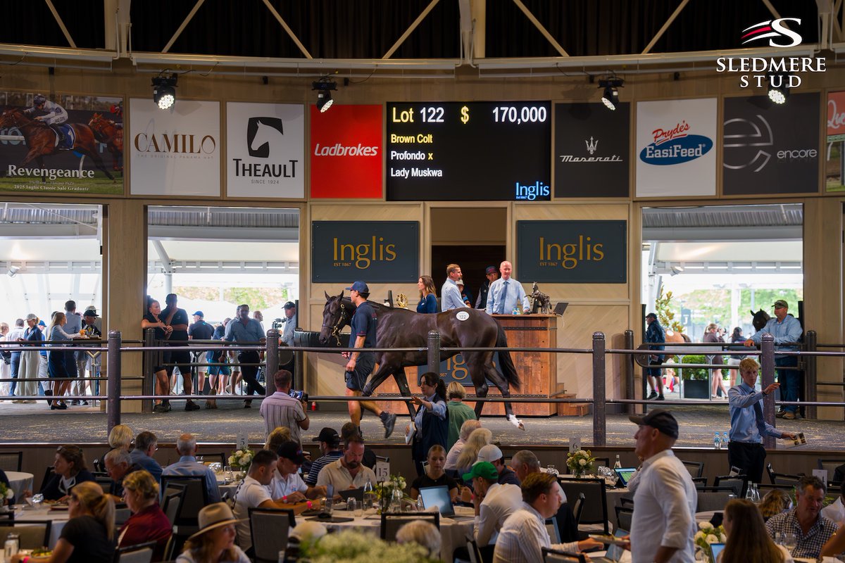 Sledmere Stud tweet media