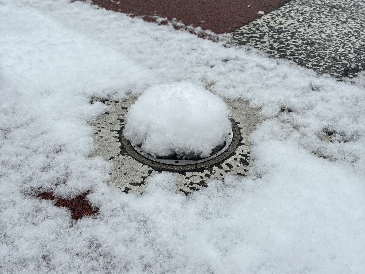 久々に雪。人の痕跡や変わった形の溶け残りを見るの楽しい