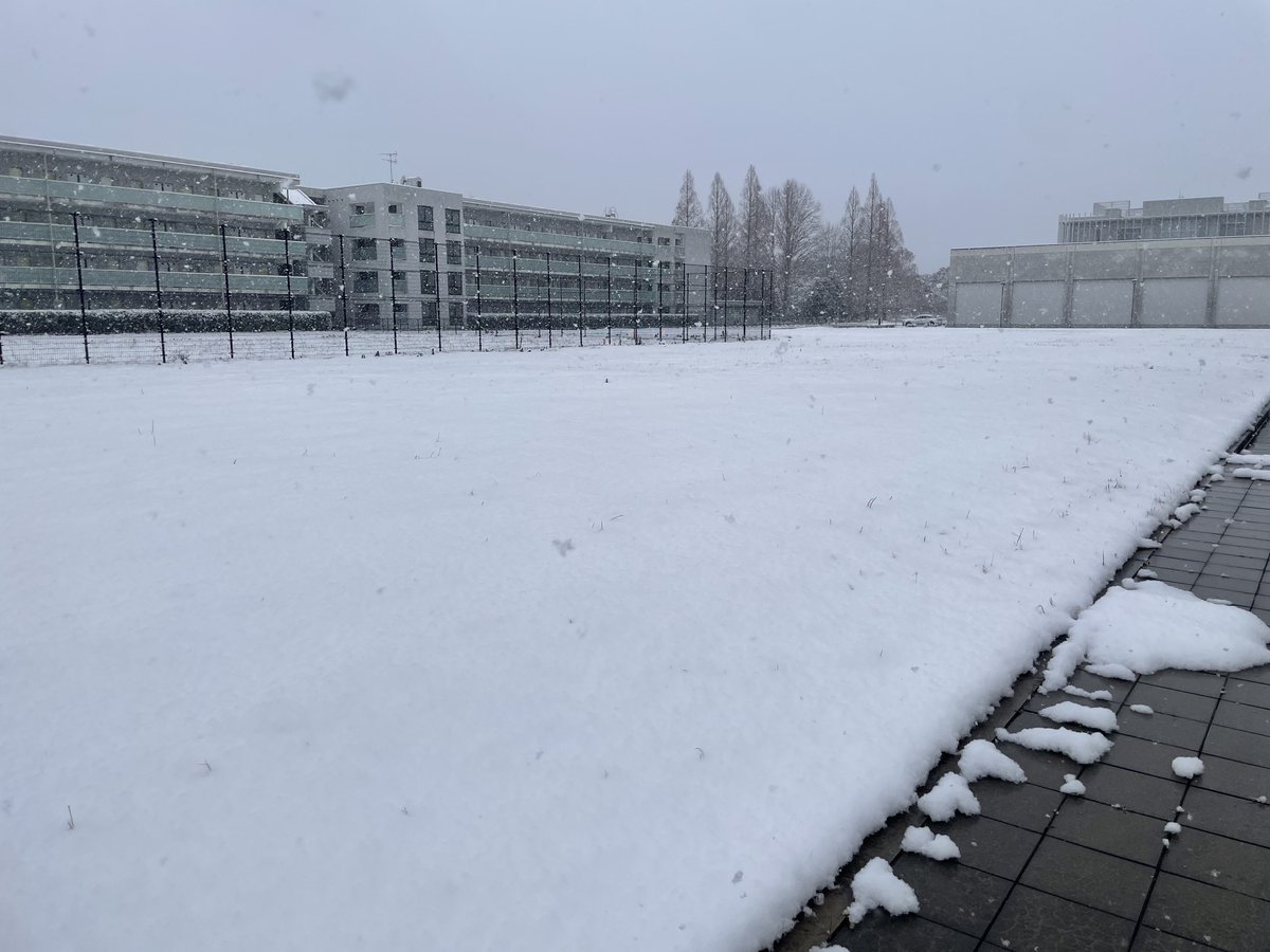 辺鄙キャンパスの雪誰も踏まないなら僕が独占しちゃうもんね〜