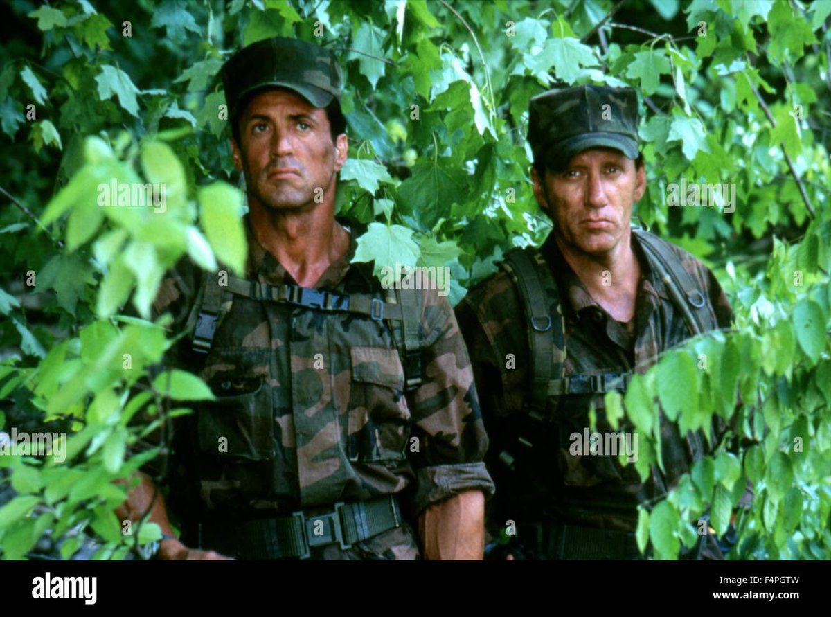 Jerry DiCarro tweet media