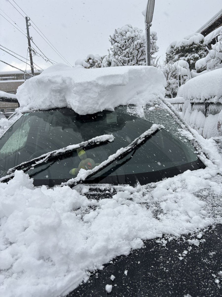 Accel_Masaki's tweet photo. 最終日が大雪❄️ https://t.co/Ix95dUQpNm