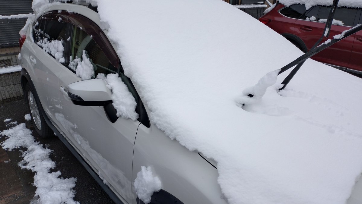 雪エグい
投票済ませてきた