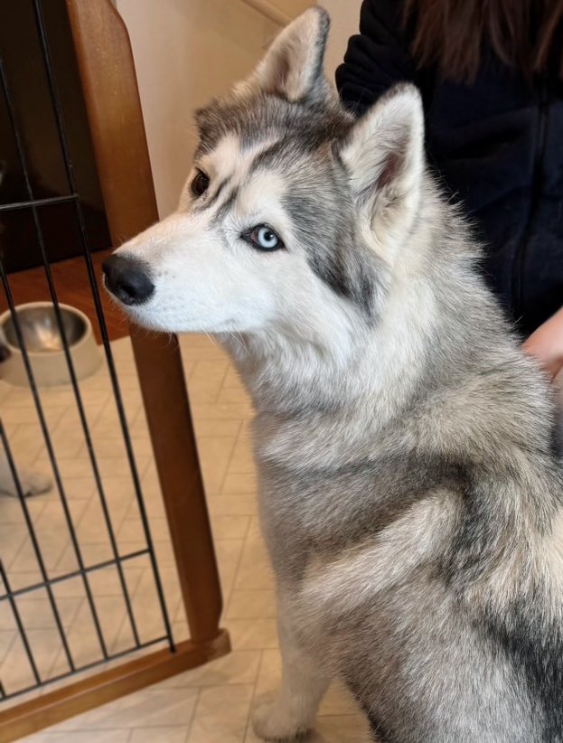 ヨーシヨシしてもらっていた ✧