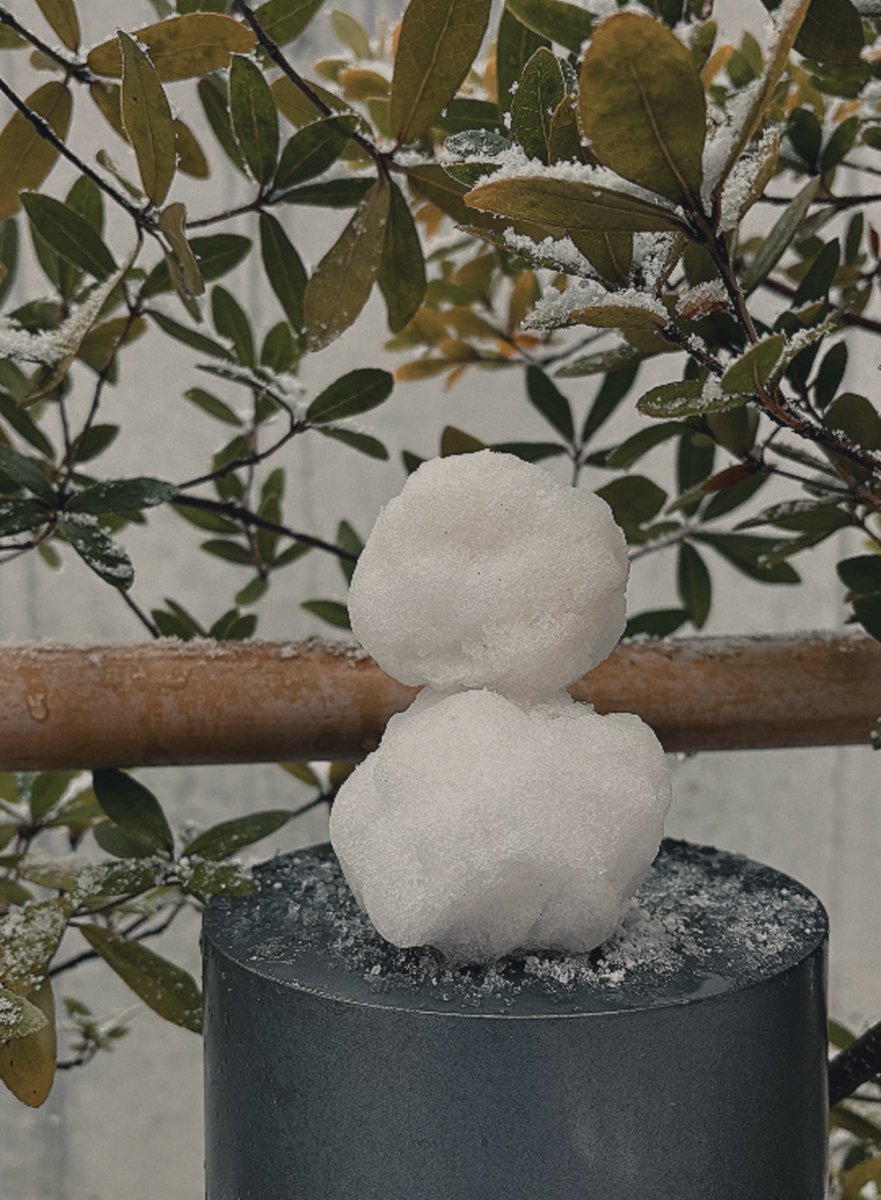 この日をずっとまっとった！！
やっとタグつけれる♪( ◜ω◝و(و "

|*･ω･)وﾞ ｺﾝｺｺｺﾝｺﾝｯ
#aoと雪だるまつくーろー