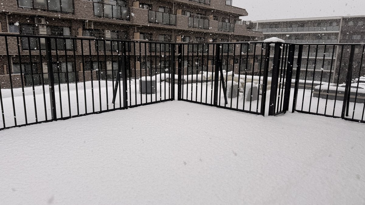おはようございます😷
すご〜い！
ルーフバルコニーにめっちゃ雪積もってる❄️
雪だるま作りたいけど風邪悪化するよね？