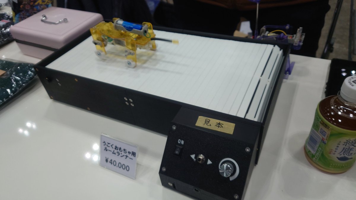 残り一個みたいです！！ゾイダー急げ！ #wf2026w