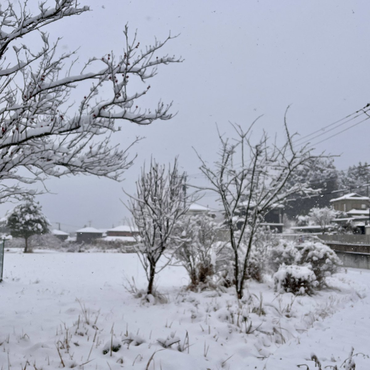 吹きガラス 小野省三 (@ONO_Shozo) / Posts / X