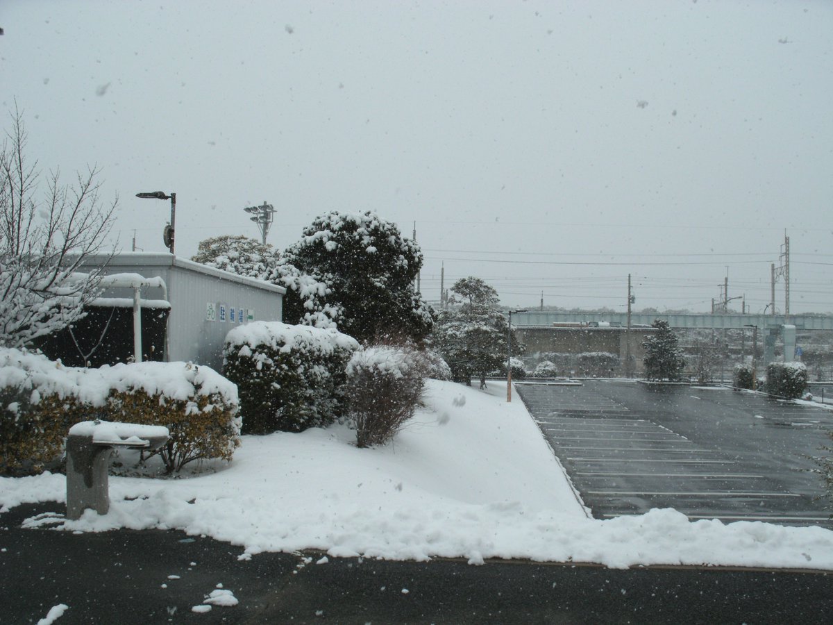 shibazonoTF's tweet photo. 本日は今年初めての雪😂
フットサル、テニスを楽しみにされていた方々に
申し訳なさそうにほわほわと降り続いています。
今のところ芝園付近はお車では難しい状況です。 https://t.co/JzMkLrJRbj
