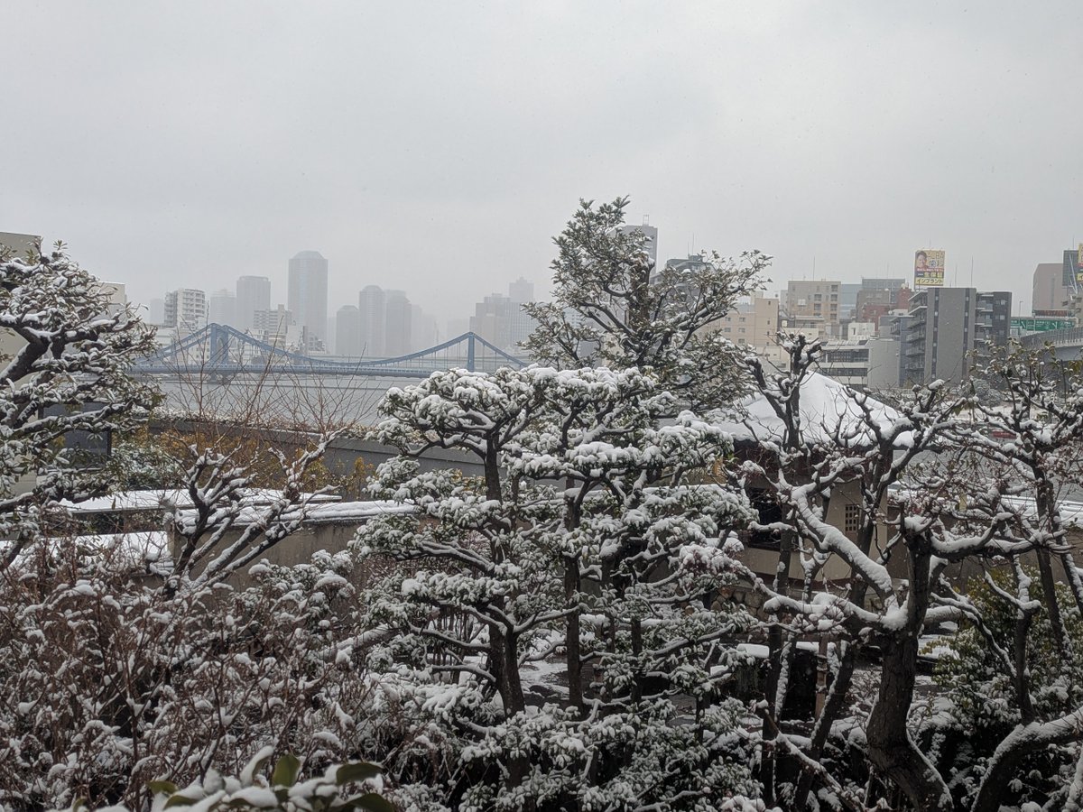 本館庭園の雪景色、とても素敵です。

足元が滑りやすい箇所がございますので、ご来園の際はどうぞお気をつけください❄️

#芭蕉 #俳句 #haiku #matsuobasho