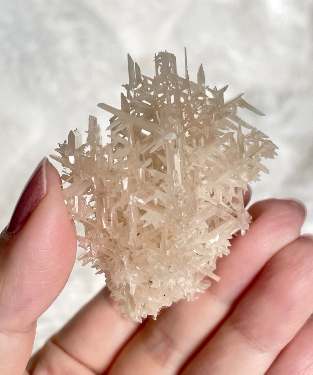 Kotoko (@Kotoko_f) / Posts / X