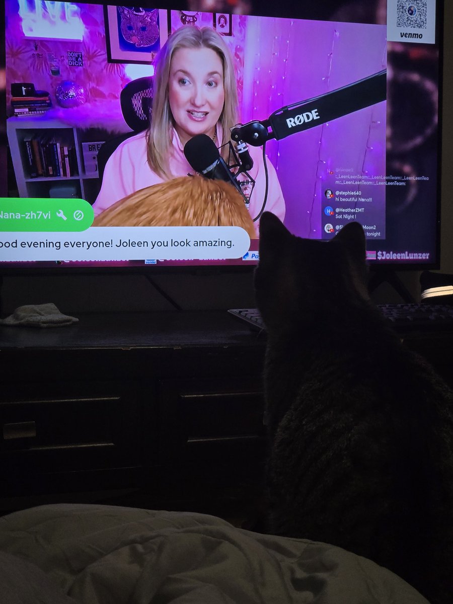 natibbfan's tweet photo. @joleenlunzer my cat is incredibly jealous https://t.co/4h9gDqTM6L