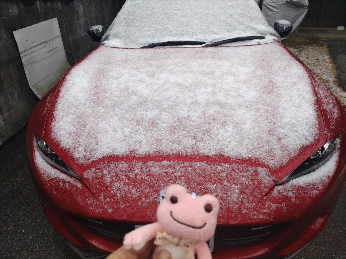 greenroadtopeac's tweet photo. この程度の雪でもビビらせて頂いております https://t.co/0sAFlE9Qf9