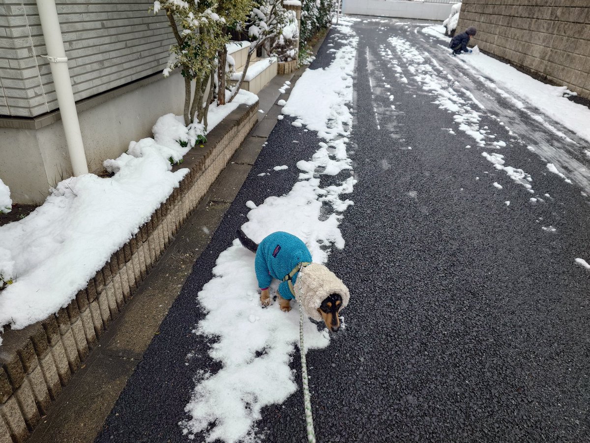 男は黙って雪の上