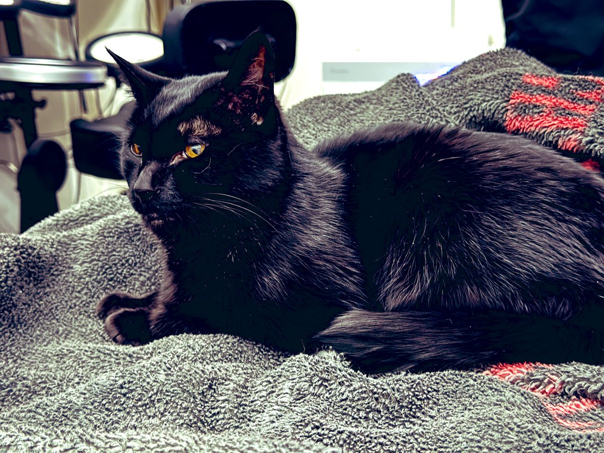 Satoh@Blue Ümbrella (@sadistic_123) / Posts / X