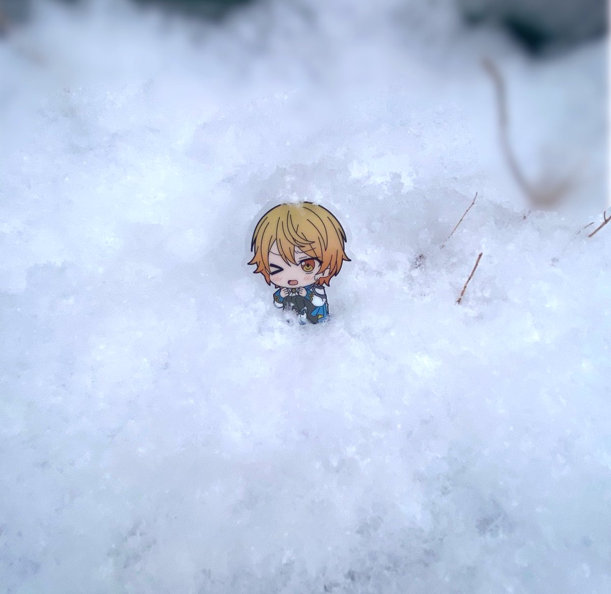 guratan_tomato's tweet image. ほら、🌟。雪だよ