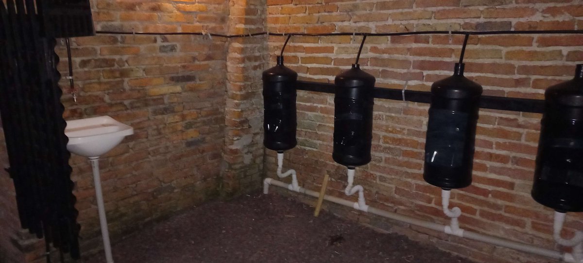 mi querido amigo correntino me mandó la foto del baño de un restaurante de alla y estoy realmente conmovido ni en un mapa del silent hill encontras algo asi kjjjjj