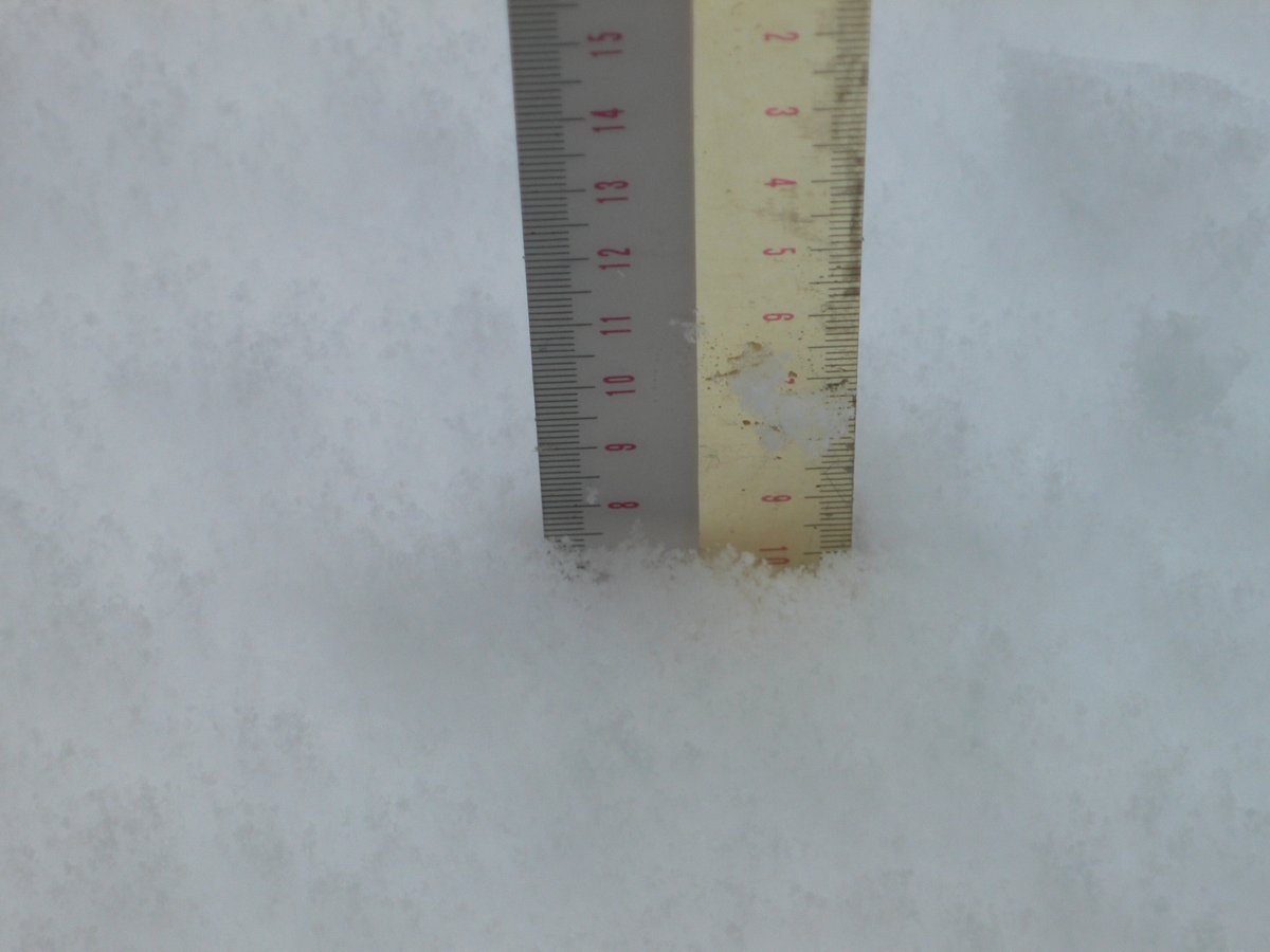 e_bullet_j's tweet photo. 小田原市、昼12時の積雪が8cm。小田原でこんなに雪が積もるのはいつ以来だろう？ https://t.co/Jgj3YPrp7J