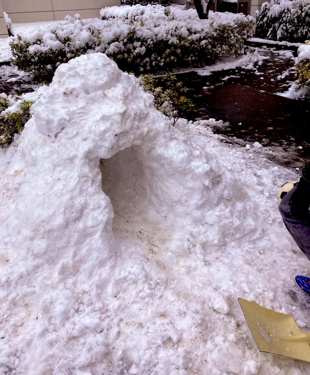 マンションの子どもたちがかまくらつくってた😊snsにあげて100万回再生目指して！て言われちゃった笑　レイワやねぇ😂