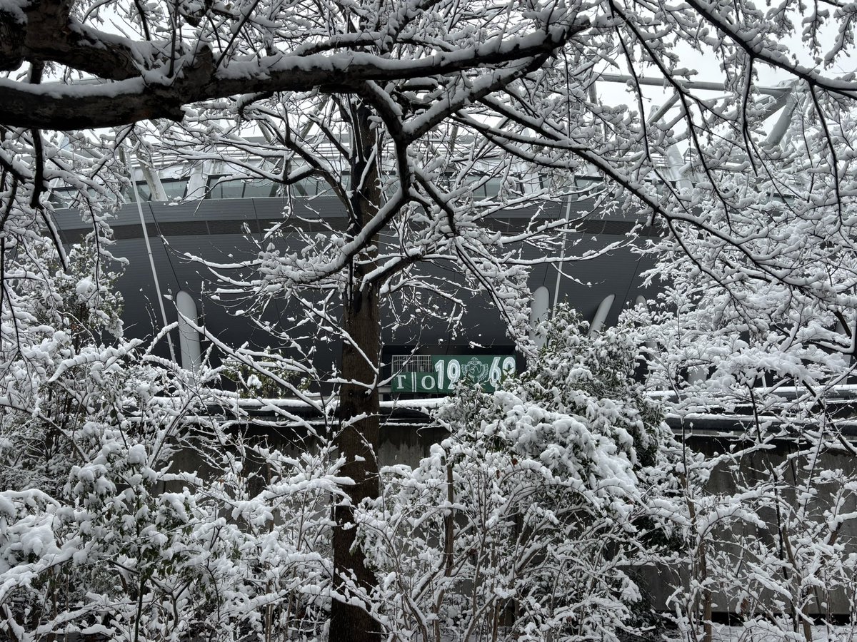 東京ヴェルディ1969💚❄️
#verdy