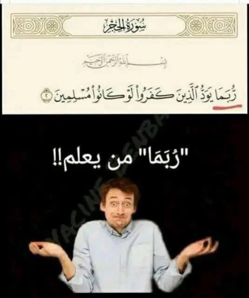 EGYPTIAN tweet media