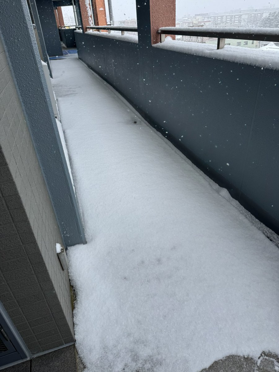 期日前投票しといてよかったよかった！！

#選挙に行こう 
#衆議院選挙2026