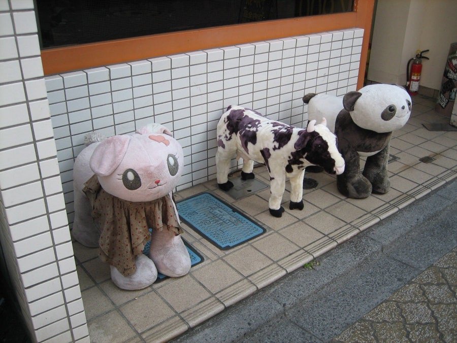 mamo40599's tweet photo. Tokyo 東京
https://t.co/ZlK8IlCUsg https://t.co/tgCDPmAK6Y