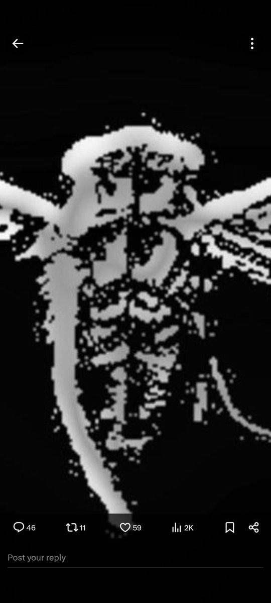 Q ™️ tweet media