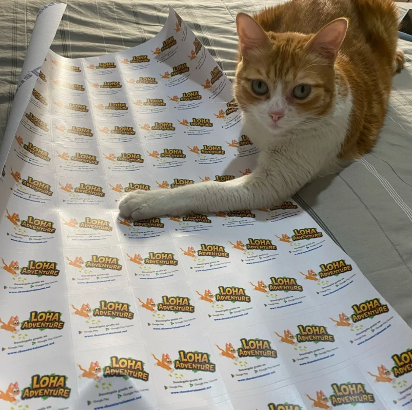 CBA ENTERTAINMENT tweet media