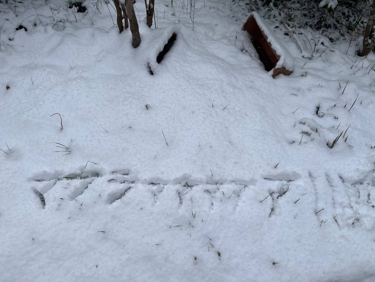 追憶のNEX259 5鯖 (@nex259ship5) on Twitter photo 