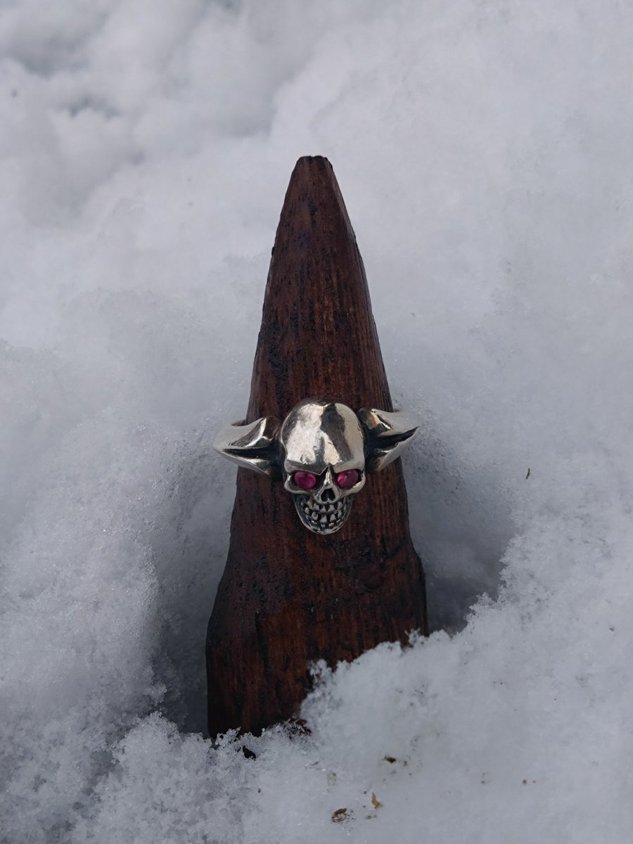 ashimichi69's tweet image. スカルも白銀の景色に映えますな🤔
そう思うのは俺だけかぁ🤭
#Crazypig
#Silverbox