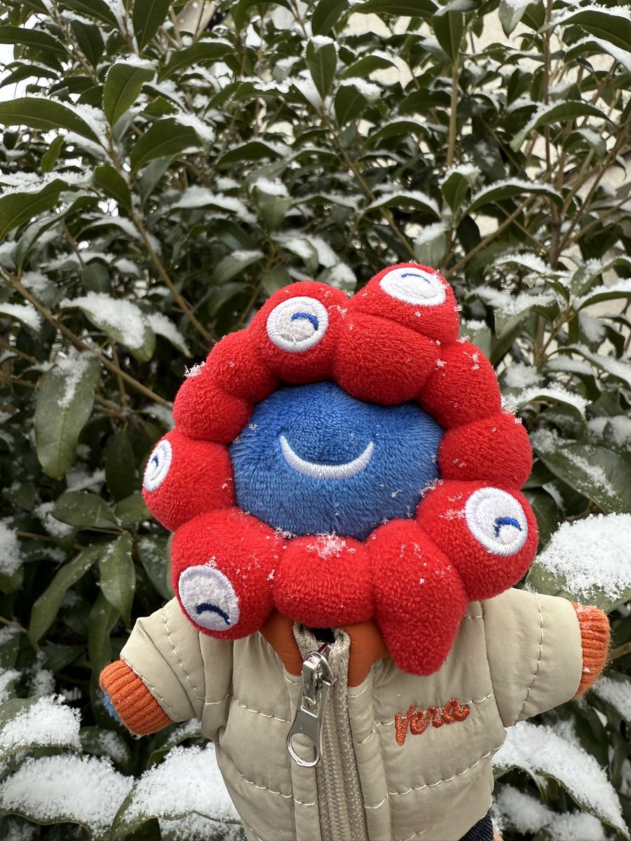 nzmn0316's tweet photo. 雪ー❄️
あまり降らない所だからこれだけの雪でも嬉しい♪
ミャクミャクも嬉しそう♪ https://t.co/YOaFCjVAus