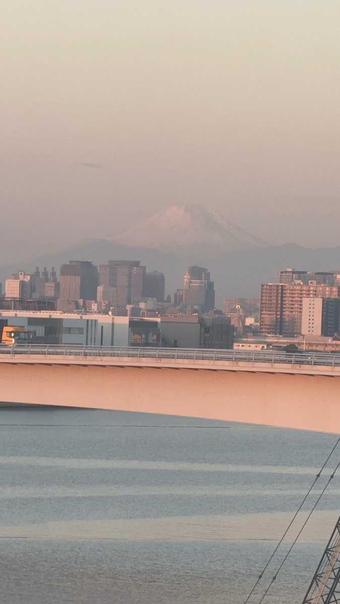 t_intheleadcoat's tweet image. #JET2026 didn’t disappoint! Congrats to the organizers on a successful meet! Grateful for the opportunity to speak on #thrombectomy including #VTE &amp;amp; #ALI. Thx to team @PenVascular for an amazing support!

Catching up with friends was icing on the cake. Got a glimpse of Mt. Fuji