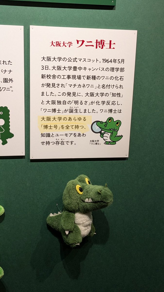my_obcr's tweet photo. ワニ博士、ヤバすぎる https://t.co/8ZOPUCFLHJ