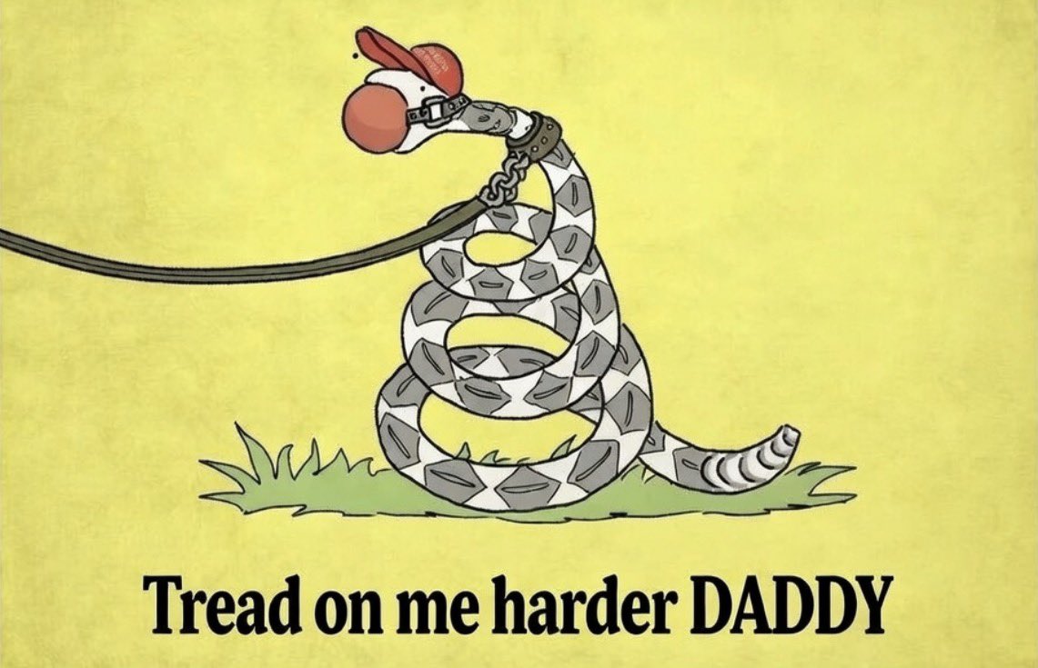 Robert Wells tweet media