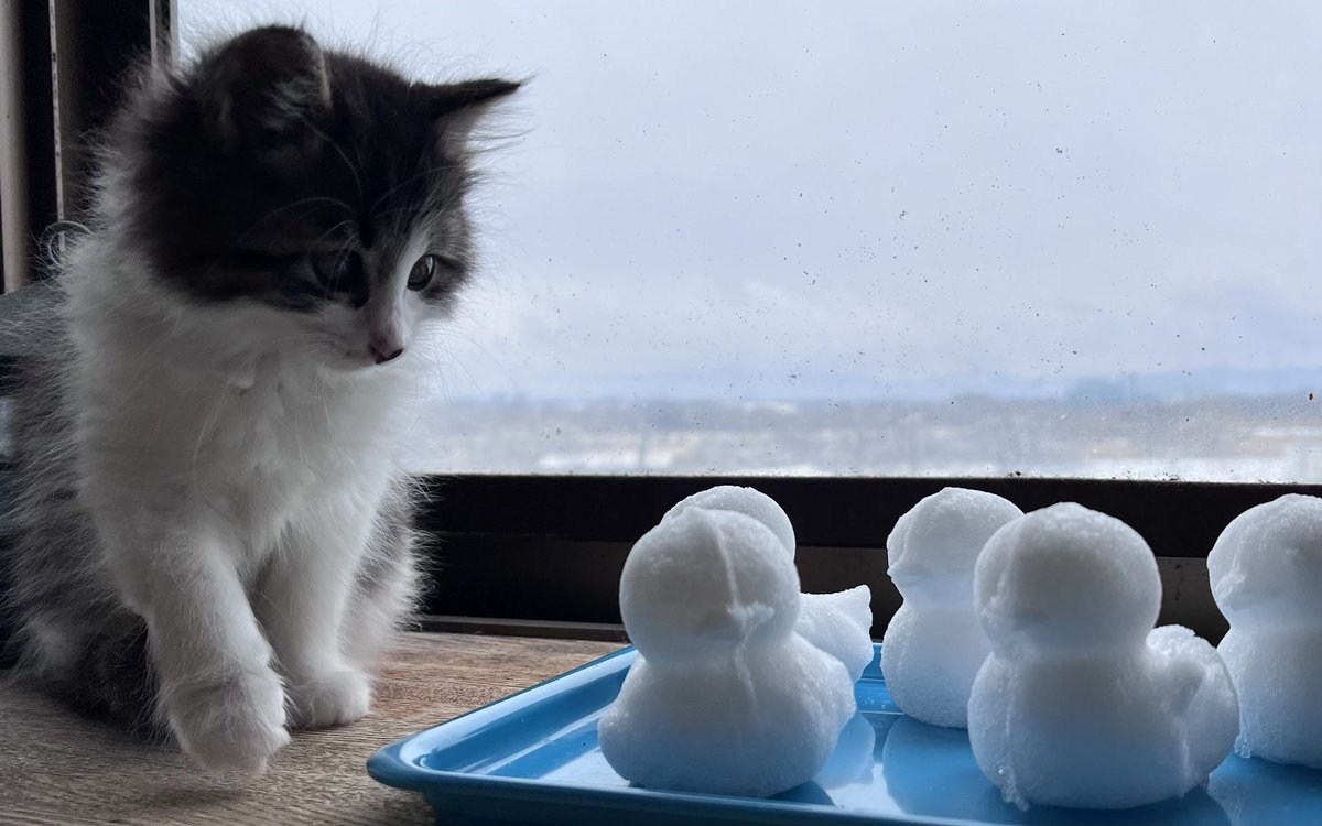 ぴょんたママ (@etsu510) / Posts and Replies / X