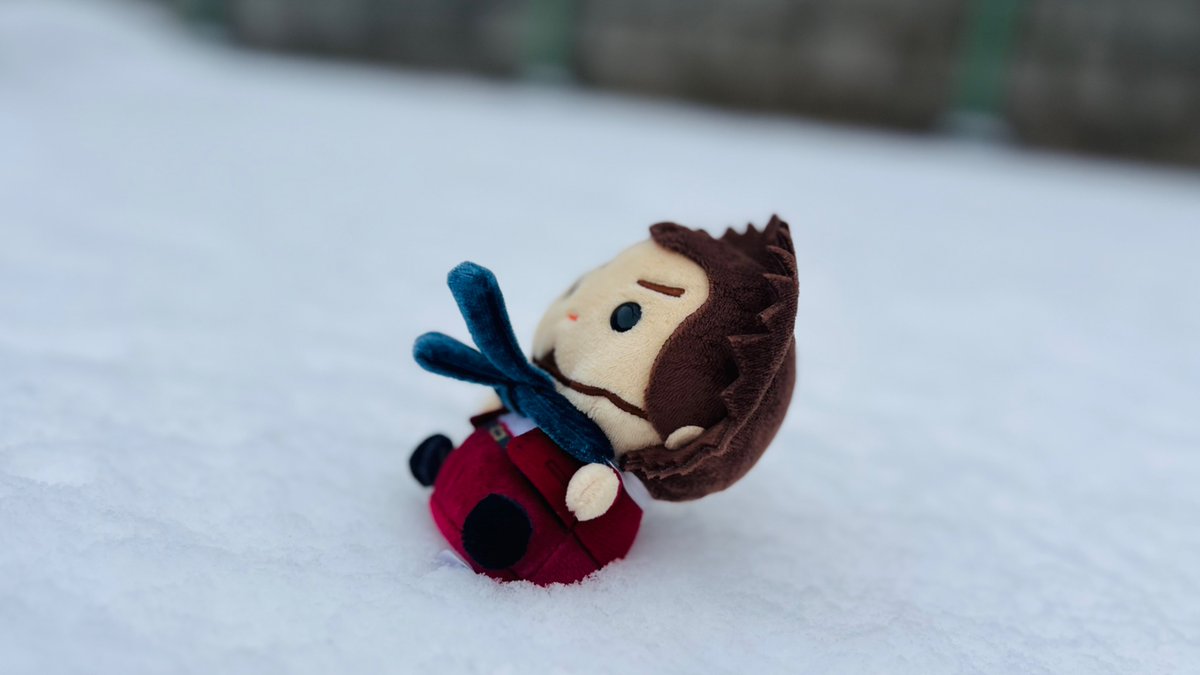 ｳﾜｰｰｰｰｰｰｰｯ     ｽﾞﾃｰﾝｯ