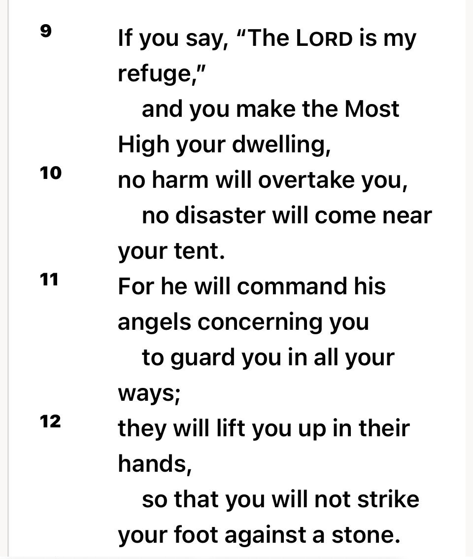 Nohemi614's tweet photo. Reflecting on Psalm 91 today..here a few verses.. 🙏🏽 https://t.co/pH5Nk4P9sC