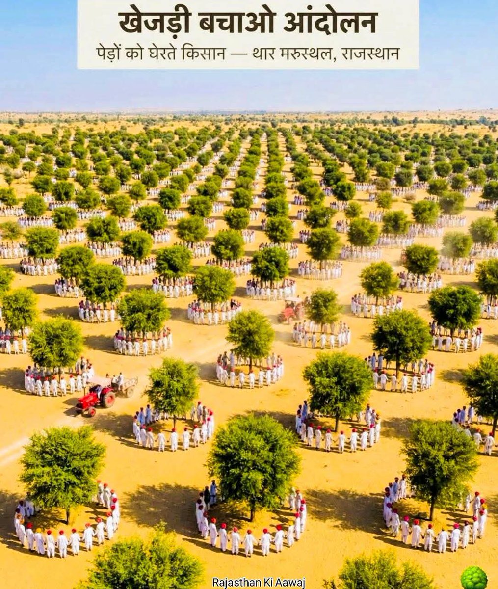 #राजस्थान_सरकार_खेजड़ी_बचाओ