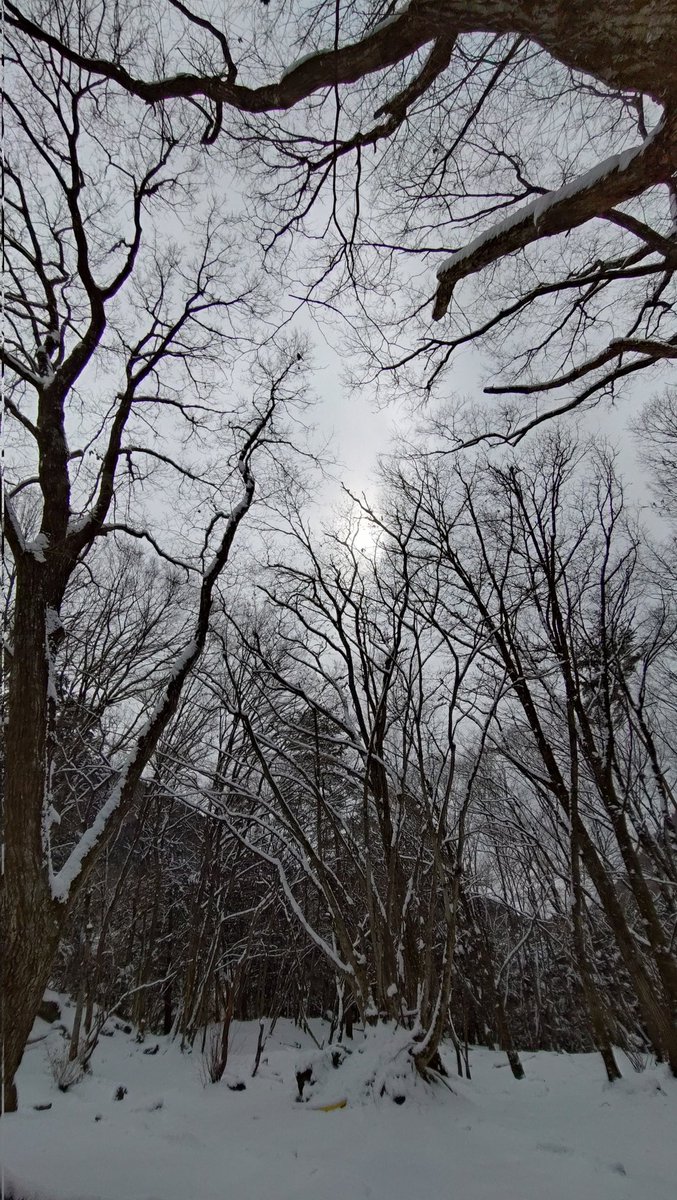 RYOTA2138's tweet image. #SWRC @wildoffroadRC 到着〜♪
積雪5cm＋くらいかな
タープが雪の重みでヤバかったので
まずは雪かきやりまさした〜♪