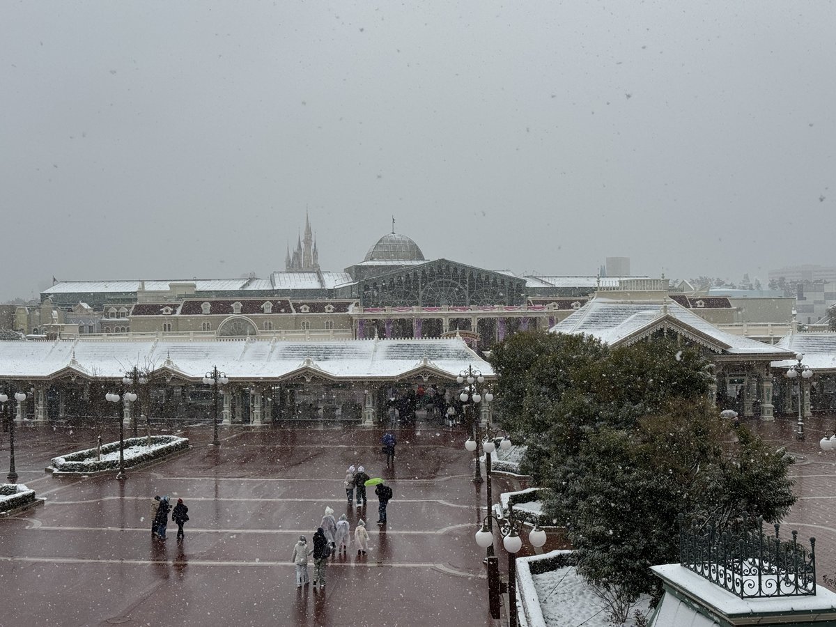 まにあ tweet media