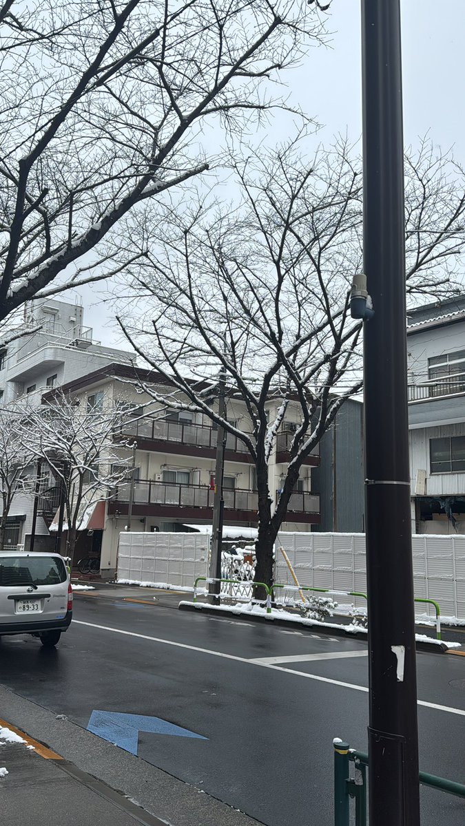 hyper_SZK's tweet image. 雪ふってんのかい