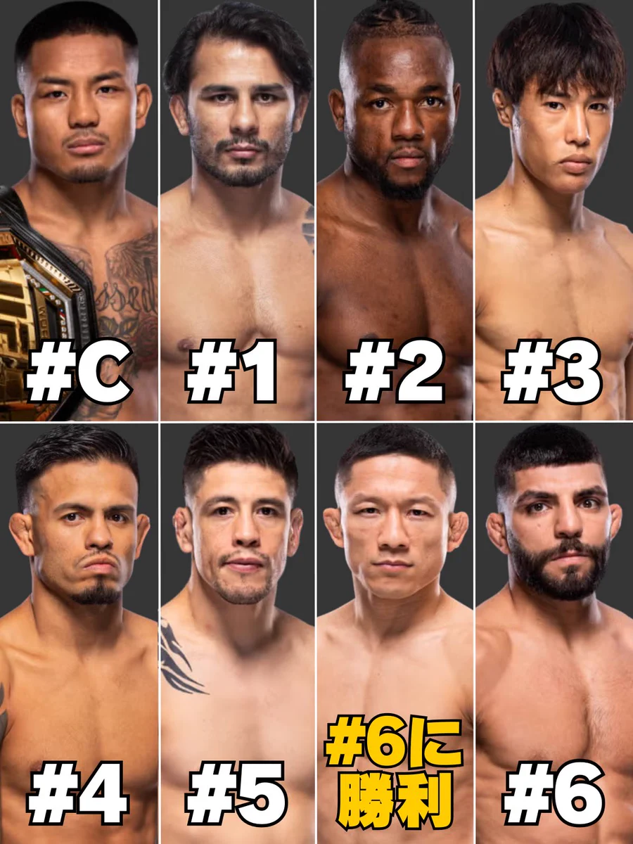 ufc フライ 級 ランキング
