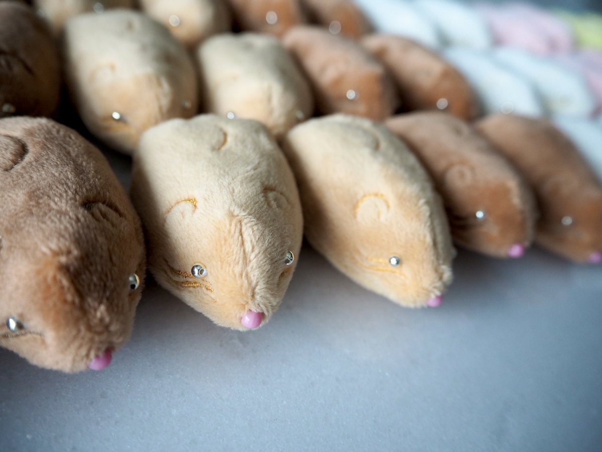 三角ユウリ (@hks_triangle) / Posts / X